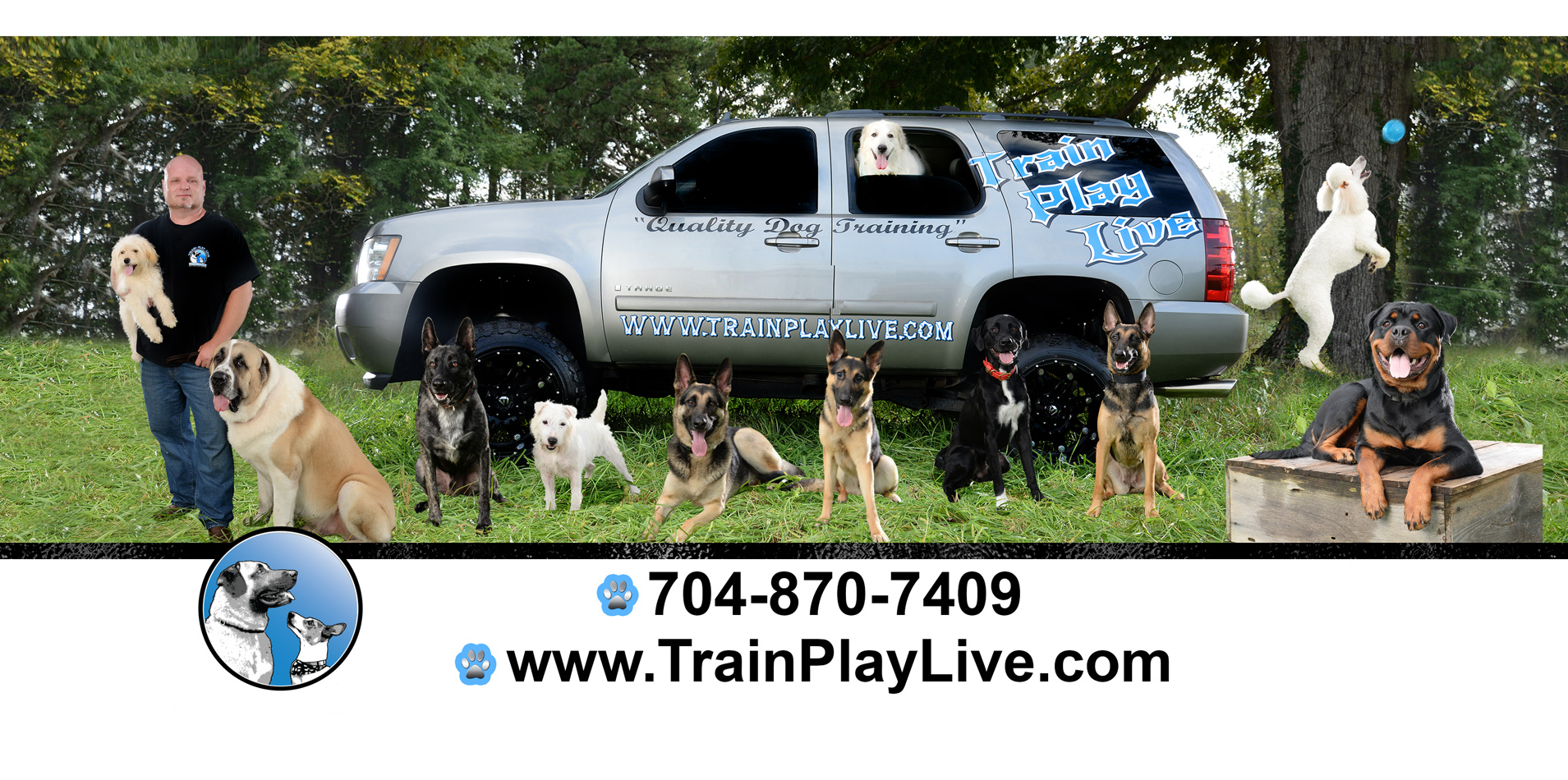 dog-training-charlotte-nc