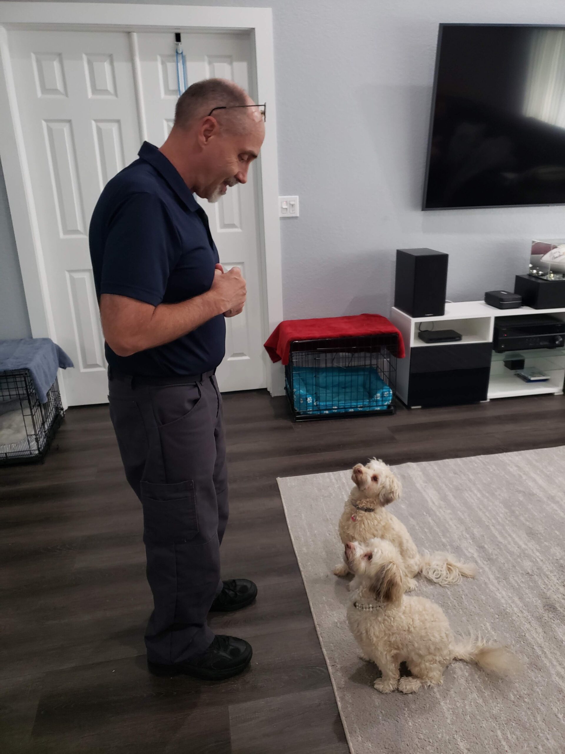 dog-training for Tamarac, FL